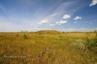 Курган