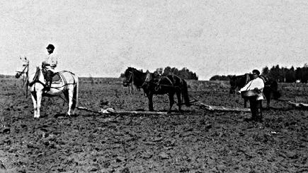 Станица Кваркенская