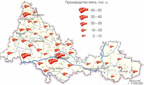 Производство мяса в 2000 г.