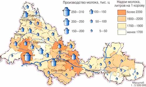 Производство молока в 2000 г.