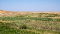 Овраг-водосброс Троицкого водохранилища