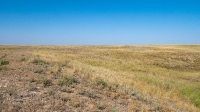 Овраг-водосброс Троицкого водохранилища