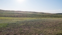Гора Боевая. Июль 2019 года