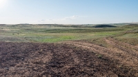 Гора Боевая. Июль 2019 года
