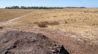 Гора Алеутас. Август 2021 года