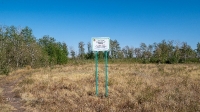 Соколиные колки. Август 2021 года
