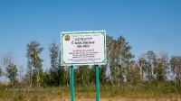 Соколиные колки. Август 2021 года