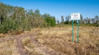 Соколиные колки. Август 2021 года