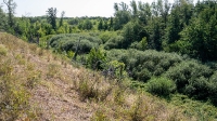 Урочище Мечетка. Август 2021 года