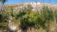 Овраг Белая Глина