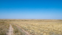 Троицкие меловые ландшафты. Август 2021 года