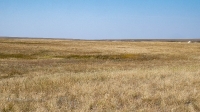 Карстовое поле на водоразделе Тасбулака и Акбулака. Август 2021 года