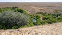 Гора Змеиная (Ханская гора, Могила хана, Михайловская гора). Август 2021 года