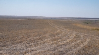 Гора Змеиная (Ханская гора, Могила хана, Михайловская гора). Август 2021 года
