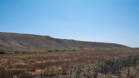 Гора Змеиная (Ханская гора, Могила хана, Михайловская гора). Август 2021 года