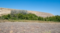 Гора Змеиная (Ханская гора, Могила хана, Михайловская гора). Август 2021 года