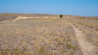 Гора Змеиная (Ханская гора, Могила хана, Михайловская гора). Август 2021 года