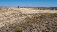 Гора Змеиная (Ханская гора, Могила хана, Михайловская гора). Август 2021 года