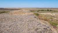 Гора Змеиная (Ханская гора, Могила хана, Михайловская гора). Август 2021 года