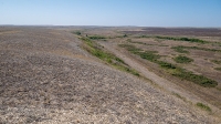 Гора Змеиная (Ханская гора, Могила хана, Михайловская гора). Август 2021 года