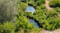 Гора Змеиная (Ханская гора, Могила хана, Михайловская гора). Август 2021 года