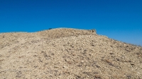Гора Змеиная (Ханская гора, Могила хана, Михайловская гора). Август 2021 года