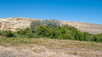 Гора Змеиная (Ханская гора, Могила хана, Михайловская гора). Август 2021 года