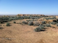 Гора Полковник. Август 2010 года