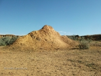 Гора Полковник. Август 2010 года