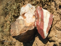 Гора Полковник. Август 2010 года