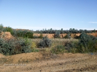 Гора Полковник. Август 2010 года