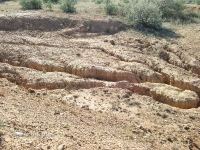 Гора Полковник. Август 2010 года