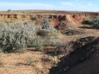 Гора Полковник. Август 2010 года