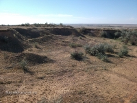 Гора Полковник. Август 2010 года