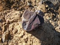 Гора Полковник. Август 2010 года