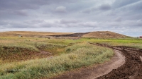Тузлуккольские грязи