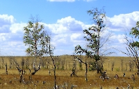 Урочище Каменные Овцы