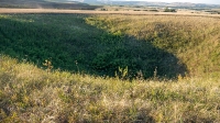 Урочище Разинские ямы