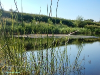 Озеро Круглое в пойме Урала