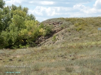 Разрез Никольский. Август 2023 года