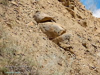 Разрез Никольский. Август 2023 года