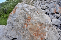 Шапка Мономаха. Май 2013 года