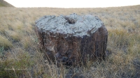Гора Буркутбай