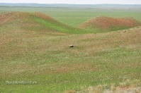 Гора Буркутбай