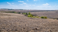 Бакский овраг