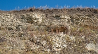Бакский овраг