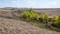 Бакский овраг