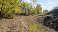 Бакский овраг