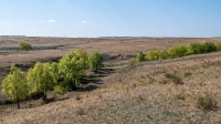 Бакский овраг