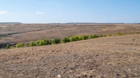 Бакский овраг